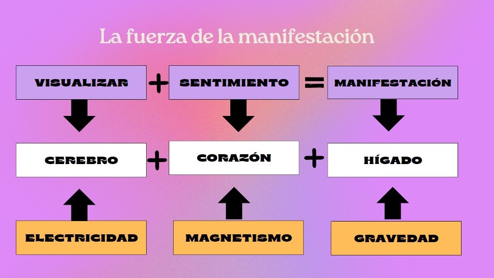 Imagen de un mapa conceptual que explora la fuerza de manifestación. Se muestra una conexión entre la visualización, los sentimientos y la manifestación física. Tres elementos corporales se destacan: el hígado, el corazón y el cerebro, representando respectivamente la gravedad, el magnetismo y la electricidad, los cuales se cree que influyen en la manifestación de deseos según esta teoría